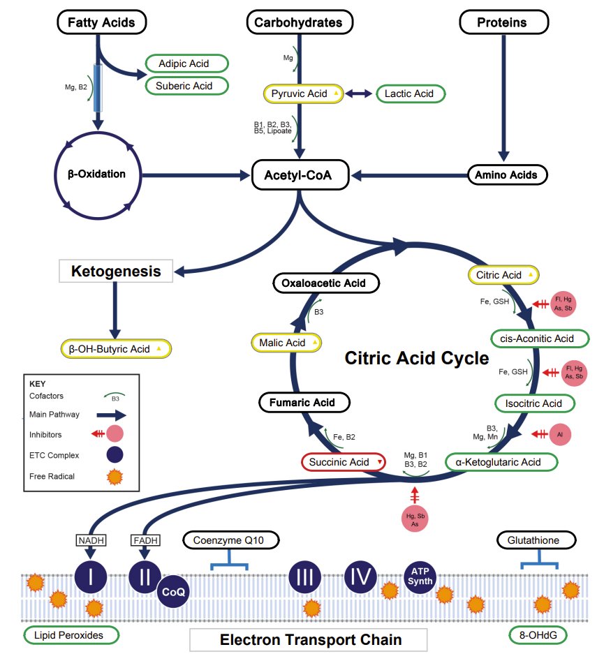 Dr Sam Soete tweet media