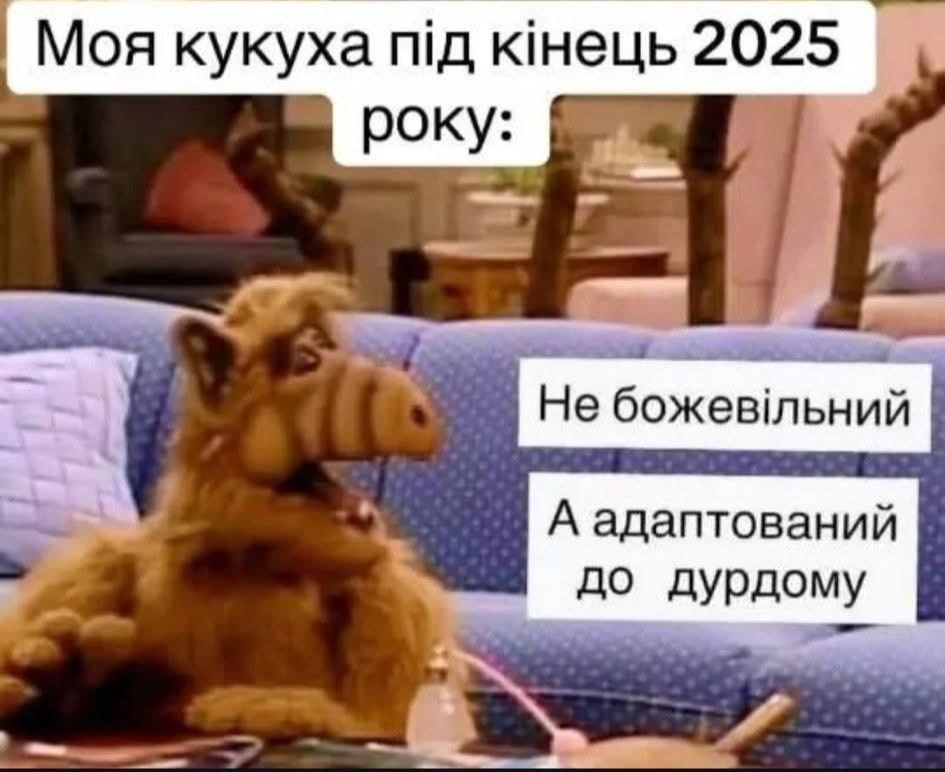 Гена Гена (@123gena1472) on Twitter photo 