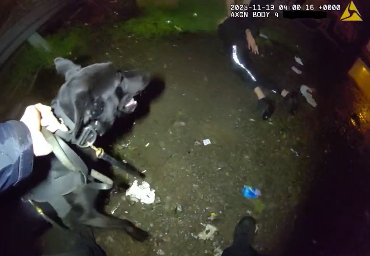 WMP Dog Unit tweet media