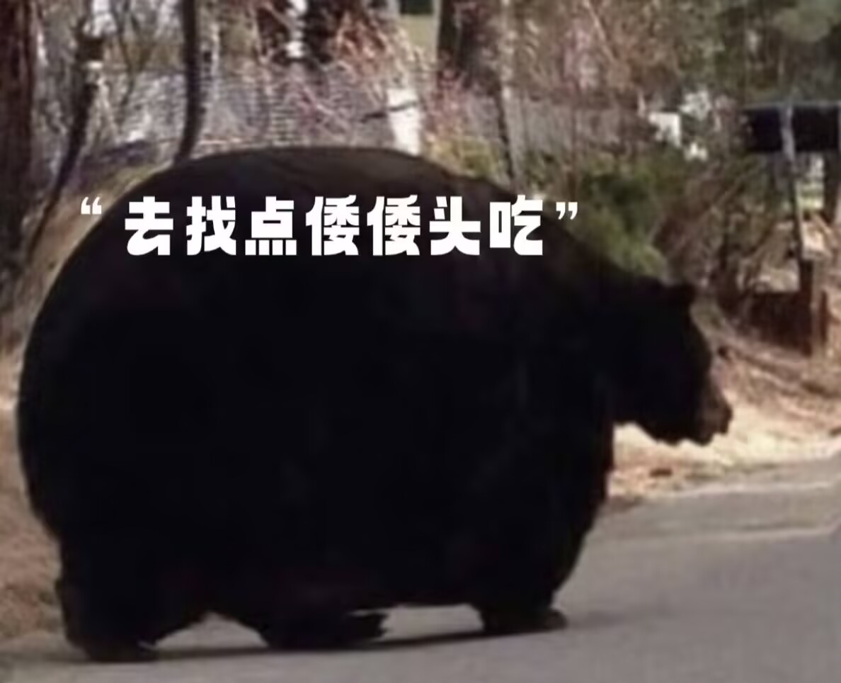 BondsFive's tweet photo. @koiiok17 日本狗都没急，阿嬷蛙自愿和日本狗杂��的野种急了 https://t.co/Hys71IMpTM