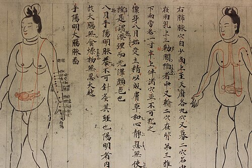 operaition's tweet image. 「消えた高度な技術の日本の腹診」

☆江戸時代の腹診
「その人の過去・現在・未来がわかる」と言われるレベル。個人の意識や生命の調和状態を映し出す「情報キャリア」。

☆現代の腹診
「肝臓のエリアが硬い＝肝気鬱結」「胃のエリアが冷たい＝脾胃虚寒」くらいの解釈で止まる。