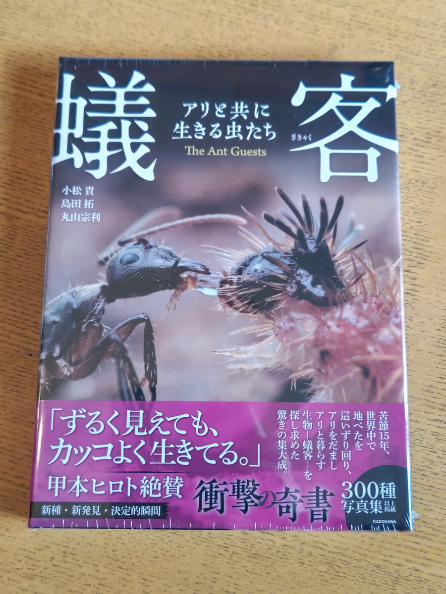 #蟻客 到着。帯の推薦文は甲本ヒロト！(何故に)
どの本もハズレがない好蟻性生物界のBIG3による一生楽しめそうな怪書。分厚い。