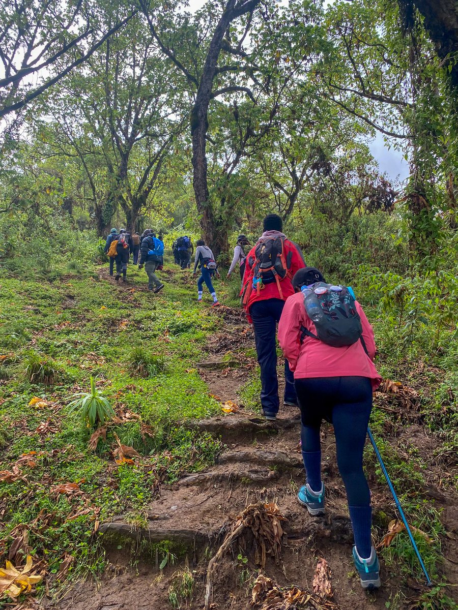 outdoorerke's tweet photo. Teleki Valley Hike – Saturday!

Step into adventure with jaw-dropping views of Mount Kenya and the magical Teleki Valley. 

Fun, challenge and memories guaranteed! 🌿🌄

Come and #unlockyourmountain with us. 🥾

.
.
#TelekiValley #MackindersCamp #HikingKenya #OutdoorerAdventures #MtKenyaVibes #ChasingViews #SaturdayHike #Outdoorer 
#HikeWithUs #HikeMore  #hikinginkenya  #AdventureAwaits #HikeWithOutdoorer #StartYourAdventure #ExploreMore #ConquerYourself #TrailTherapy #HikeMoreWorryLess #NatureEscape
