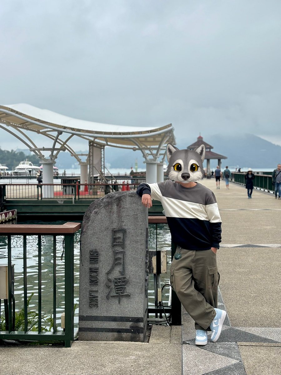 ☀️set. tweet media