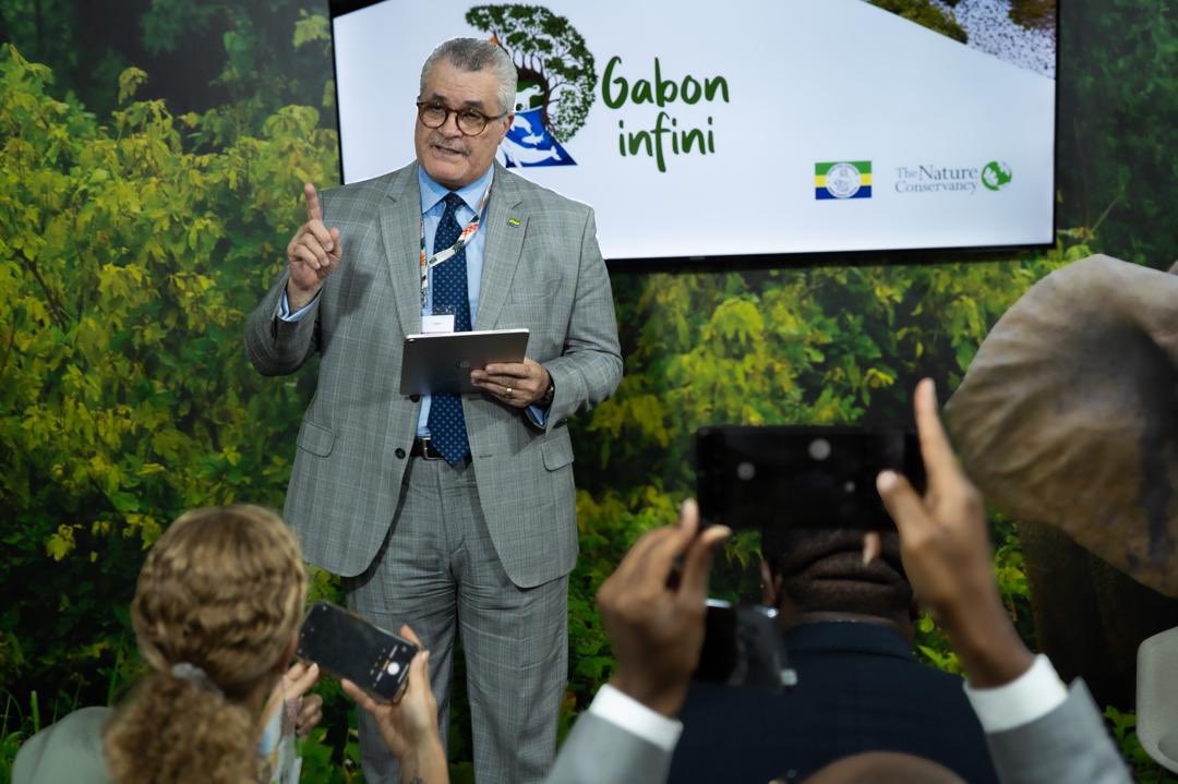 Ministère des Eaux et Forêts tweet media