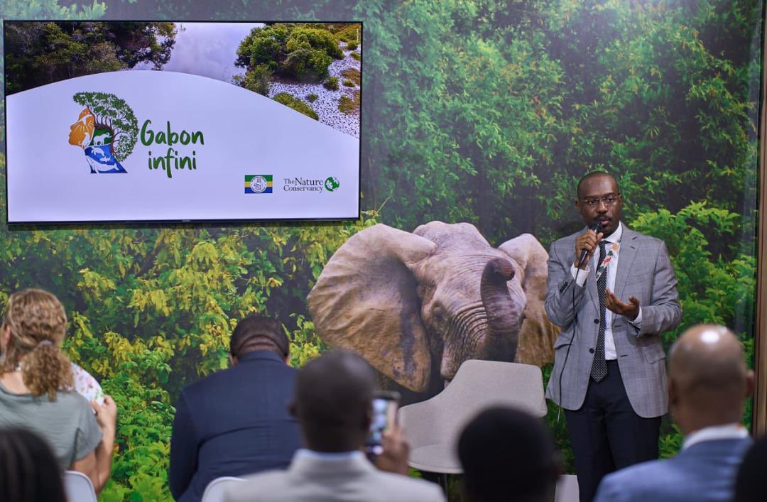 Ministère des Eaux et Forêts tweet media