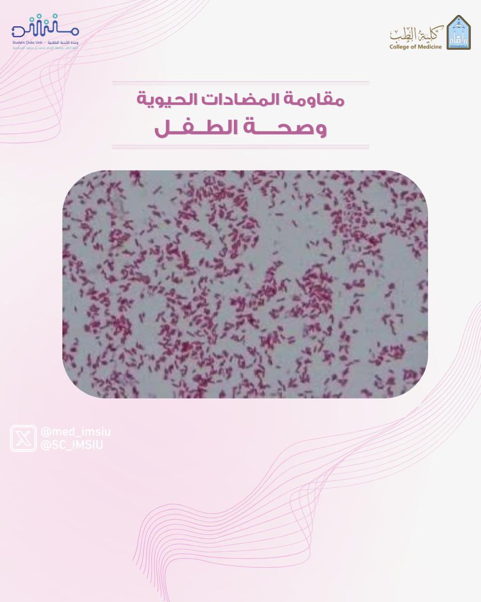 وحدة الأندية الطلابية | Student Clubs Unit tweet media