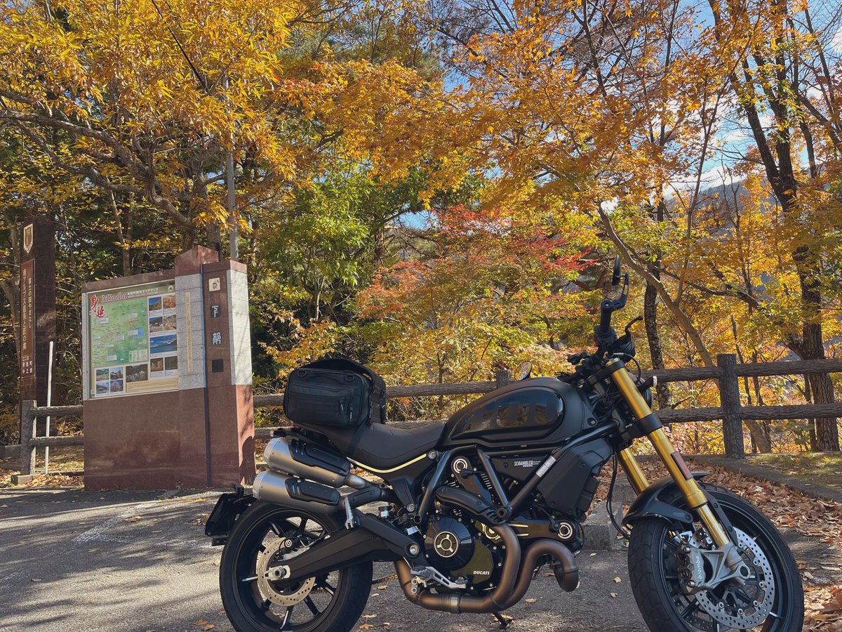 AdPmdd's tweet photo. 紅葉ツーリング
#ducatiscrambler
#ducati https://t.co/wRO0Tg6LVI