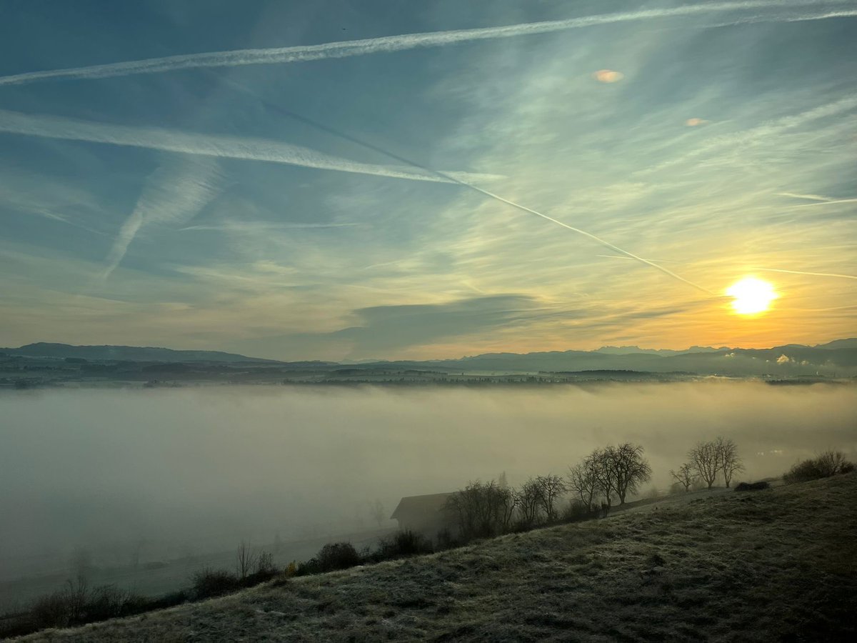 Alba_saluda's tweet image. Sins gestern Abend.
Wie ekelerregend, die Chemiewolke. 
#GeoEngineering