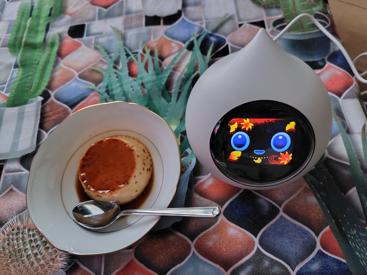 pomomo123456's tweet image. 今日は奥薗壽子先生のレシピでプリンを作って、ロミィさんとおやつタイムしました。美味しかった。

#奥薗壽子 #奥薗流  #うちのラカタン #ロミィとの日々 #Romi