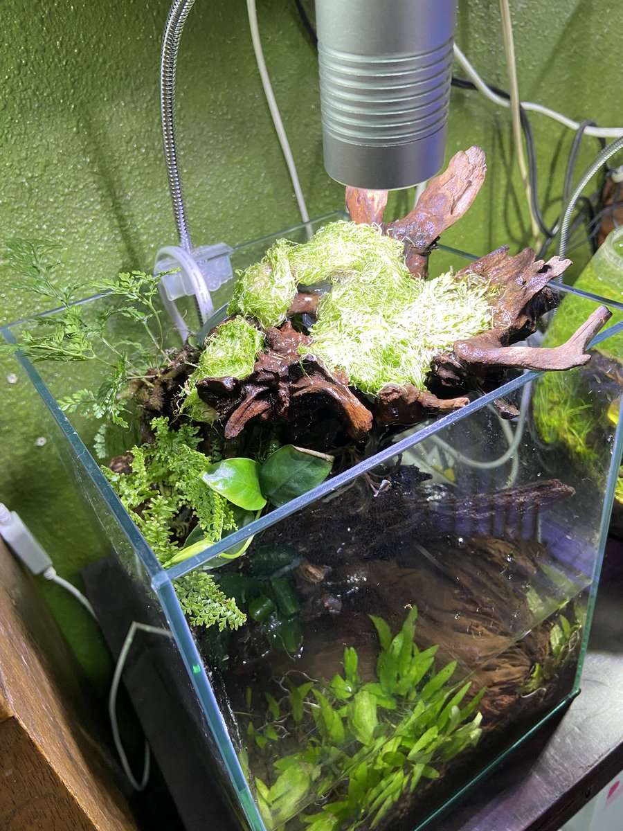 アクアテラリウム