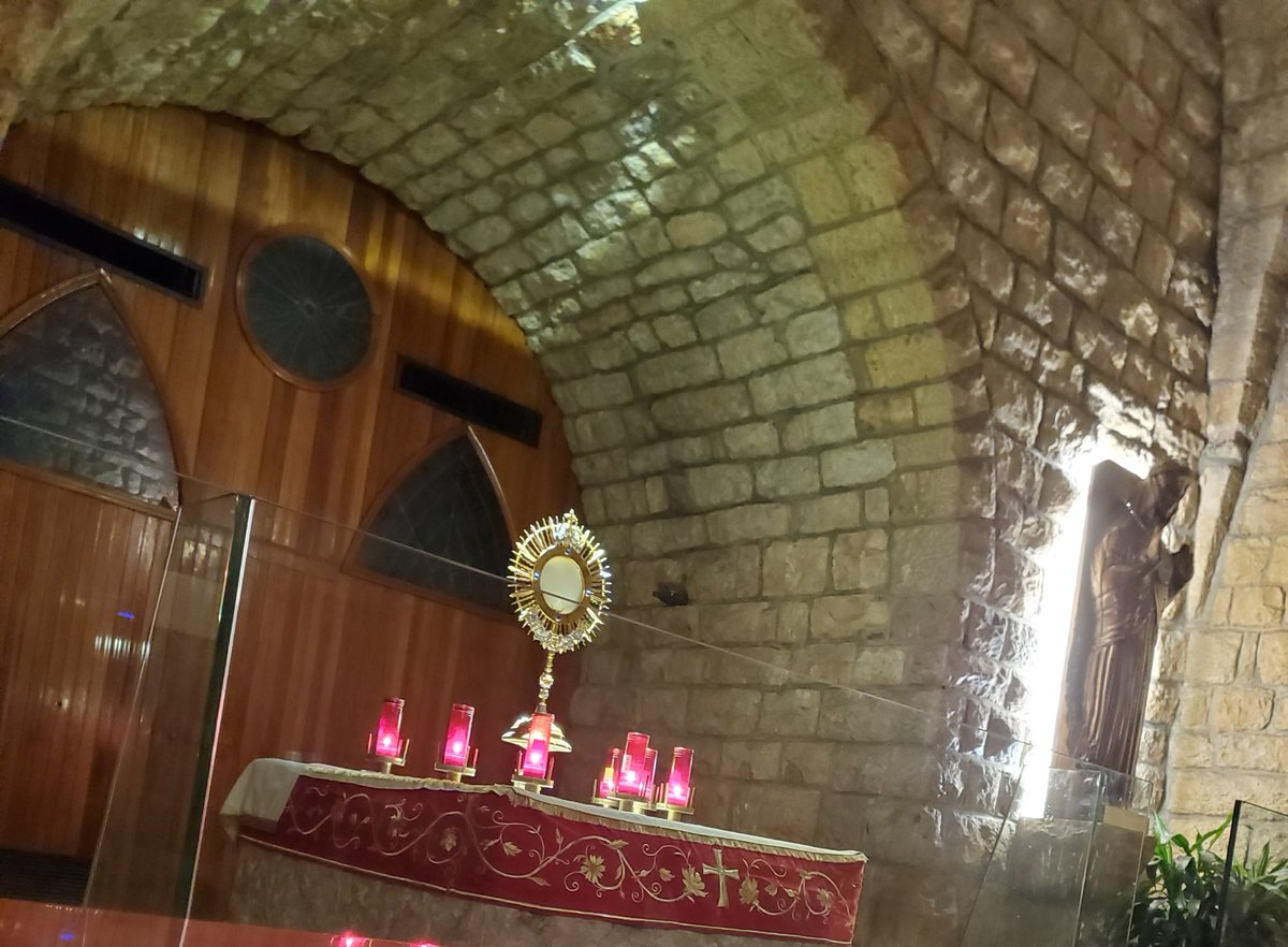 "ضَلَلْتُ كالخروفِ الضَّائِعِ، فابحَثْ يا ربُّ عَنْ عبدِكَ." مز 119ت
#زمن_الميلاد