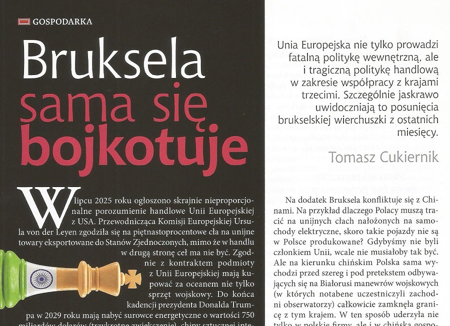 UE nie tylko prowadzi fatalną politykę wewnętrzną, ale i tragiczną politykę handlową w zakresie współpracy z krajami  trzecimi. W “Polonia  Christiana” został opublikowany mój art. Bruksela sama się bojkotuje.