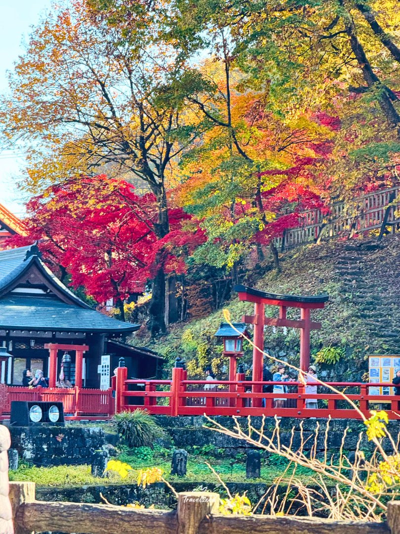Travel_zeed's tweet photo. 🍁 อัปเดตบรรยากาศใบไม้เปลี่ยนสี  จากเมืองมรดกโลก "นิกโก้" จังหวัดโทชิงิ ประเทศญี่ปุ่น อุณหภูมิโดยประมาณ 17 องศา อากาศกำลังเย็นสบายเลยค่ะ 🍂✨

---------------------------------------

ขอบคุณภาพอัปเดตจาก GS Group

#นิกโก้ #ใบไม้เปลี่ยนสี
#ญี่ปุ่น #ทัวร์ญี่ปุ่น #เที่ยวญี่ปุ่น https://t.co/EWdOwjhswb