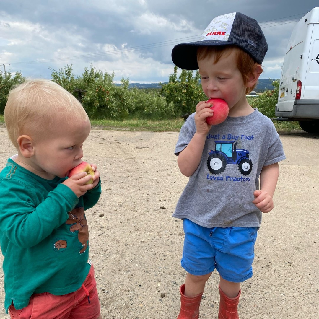 Great British Apples and Pears tweet media