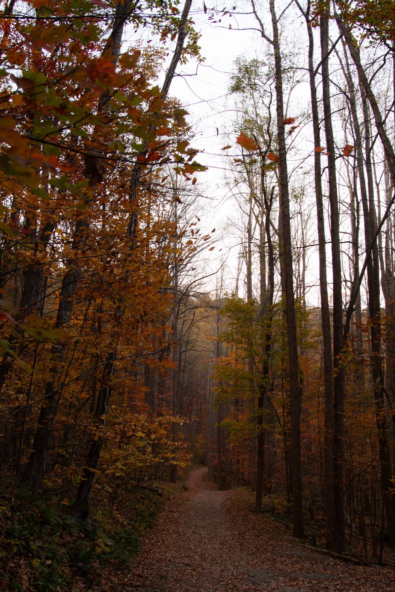 𝔫𝔞𝔱𝔞𝔩𝔦𝔢 tweet media