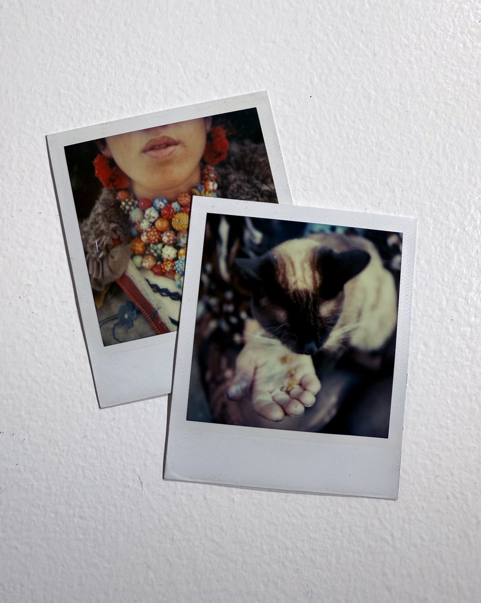 galleryether's tweet image. We are overjoyed to report that in addition to the selected photographs of Mike Brodie’s “A Period of Juvenile Prosperity” series to be shown from this Saturday, we will also have the honor of exhibiting a fantastic selection of Polaroids!

galleryether.com/ja/exhibitions…