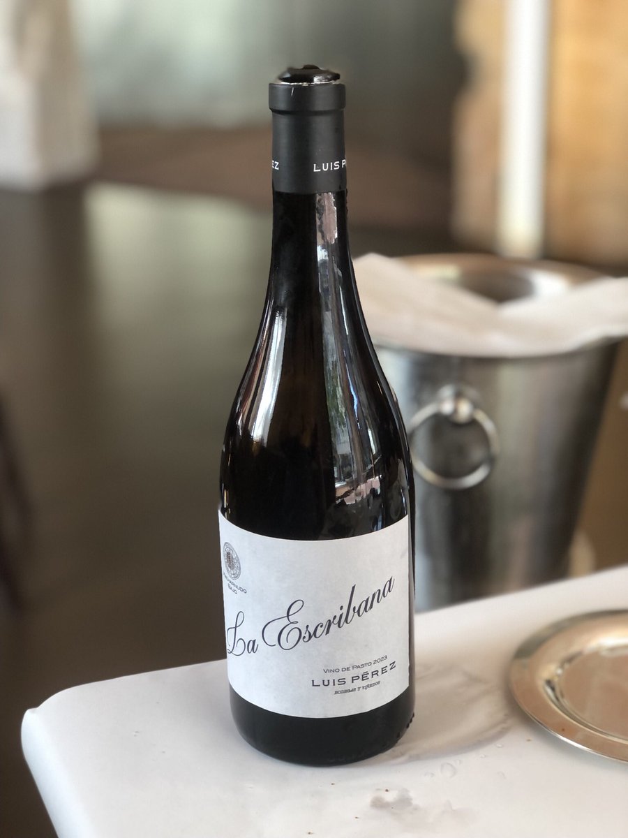 Stefano Beruschi tweet media