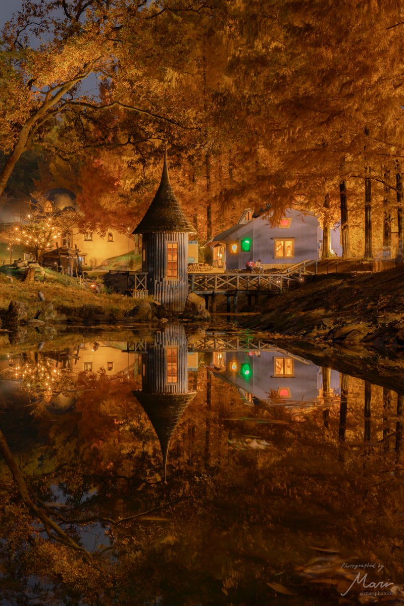 埼玉にあるおとぎの森が秋を迎えた🍂