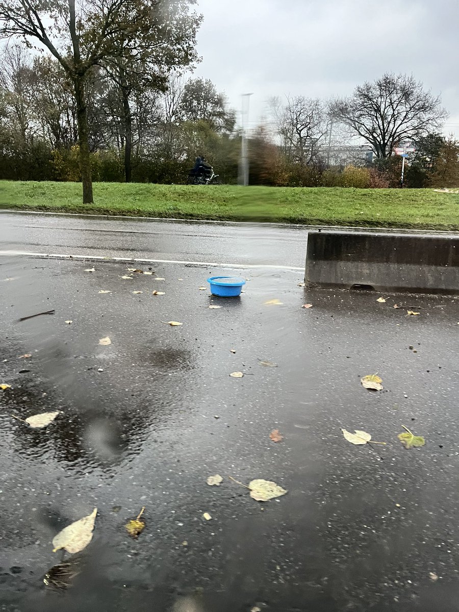 HNagelhoud's tweet image. Er was dus iemand onderweg met de auto toen hij ineens zijn afwasteil verloor. 

Dan heb je pas een slechte dag! 
#file #verkeer #afwas