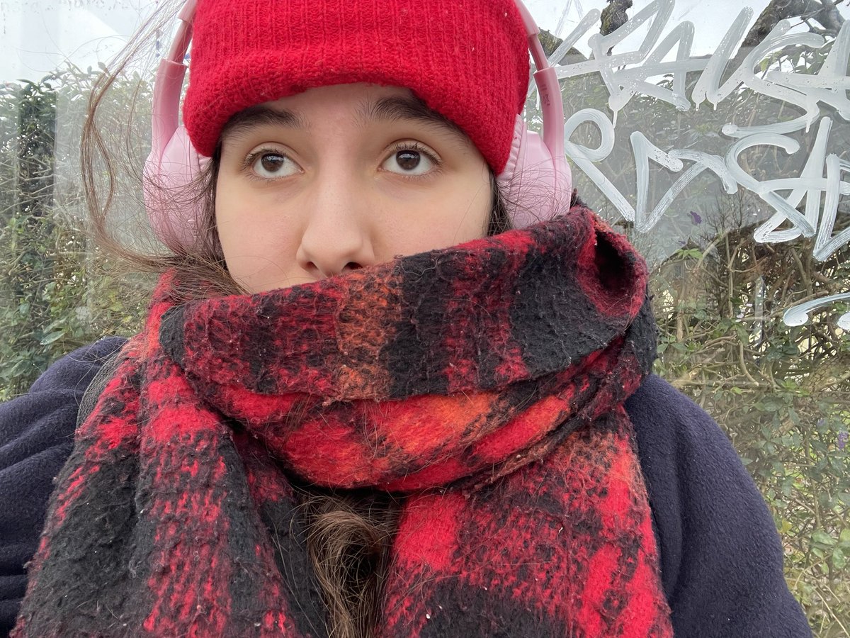 с моего дерева окончательно опала вся листва…