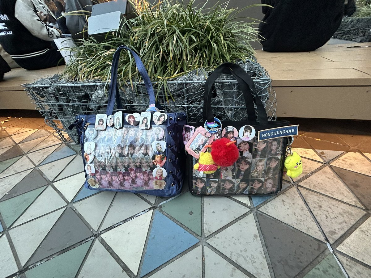🍒パイン君(タクミ)🐣ྀི tweet media
