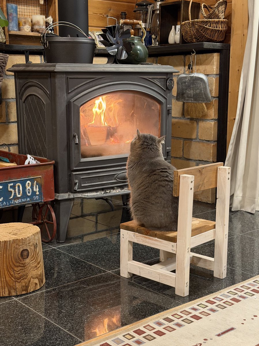 断捨離の為格安♡次回8/7.18 キチは断捨離せねば (@Shutoku6love) / Posts / X