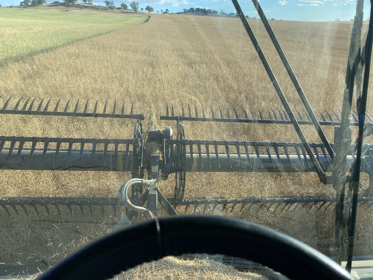 Buster Langtry tweet media