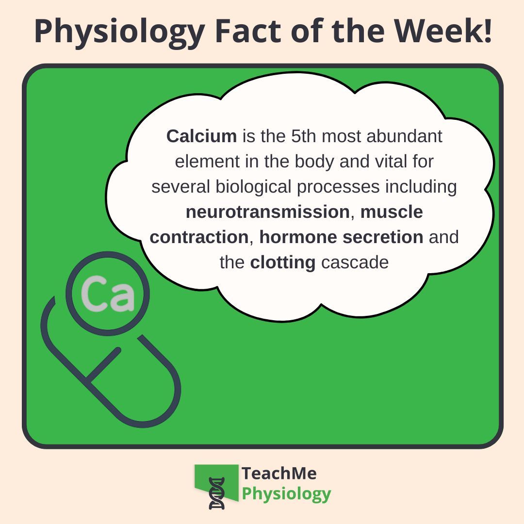 Want to learn more about one of the most important ions in the body? ‼️

Check out our article on Calcium Regulation 🥛
shorturl.at/7elny

#TeachMePhysiology #physiology #education