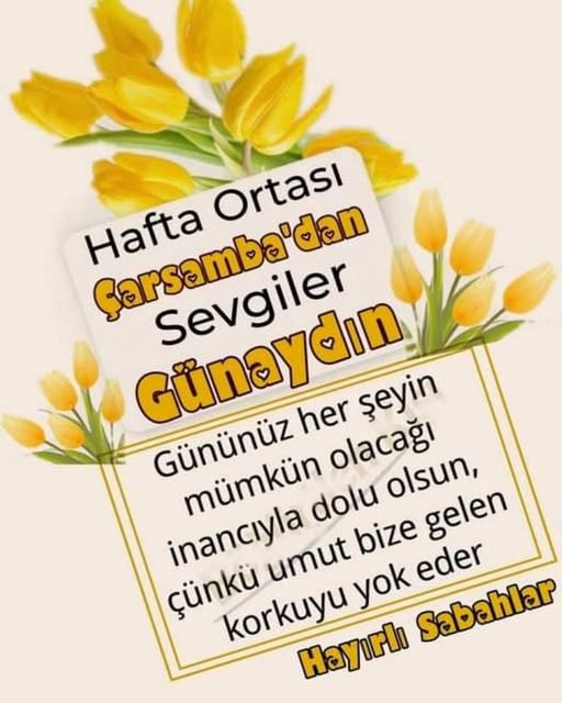 Mutlu Celal Can (@celalcanmut33) on Twitter photo 