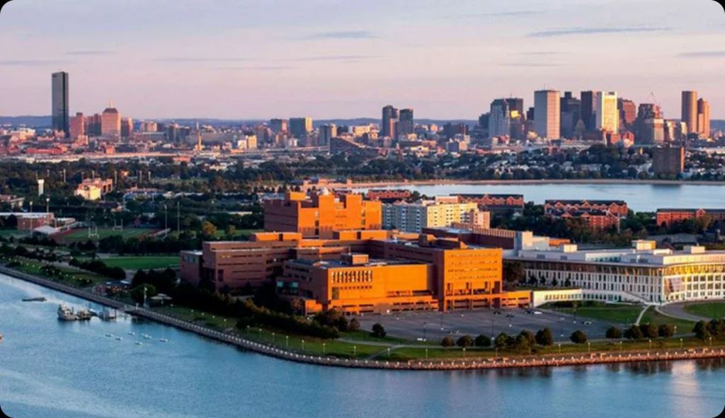 AMASERVSIG tweet media