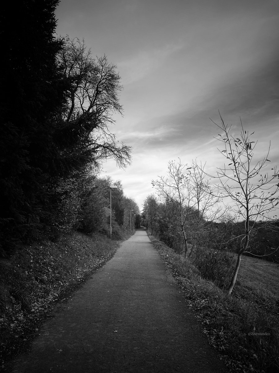 ƵϢ (@zeitwunden) on Twitter photo 