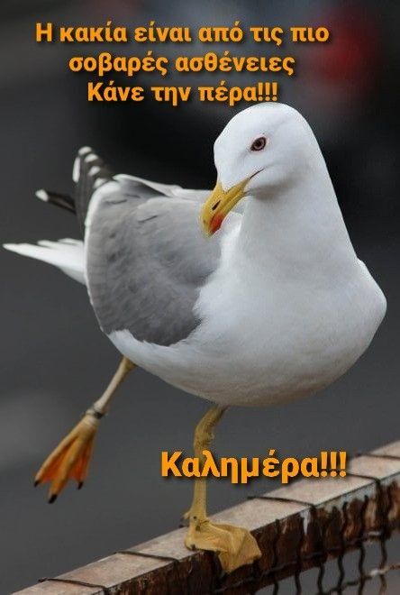 <a href="/mumgoofy/">🎀Mum🎀🇬🇷</a> Καλή σου ημέρα και καλή συνέχεια...😊🌹🙏