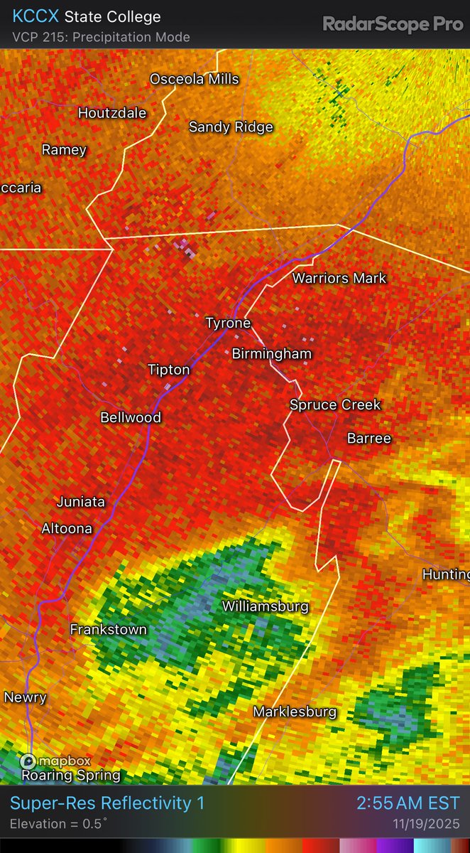 Brody Cowing tweet media