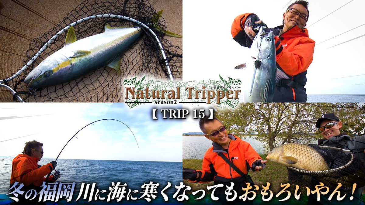 issei[一誠]official (@issei71499638) / Posts / X