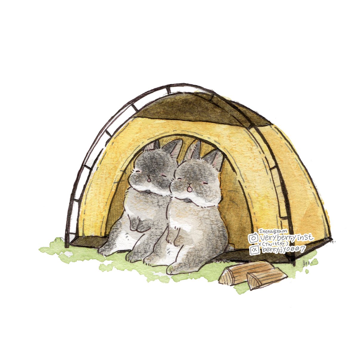 うさぎさんのキャンプ🏕️ 〜毎日投稿2121日目〜 テント組み立てたら