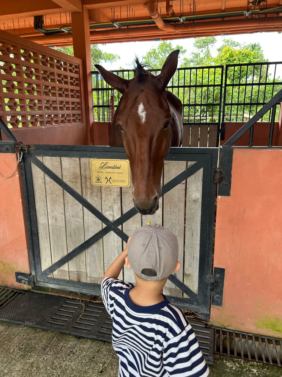 Taking my kids class to feed <a href="/011101108a/">Madeleine Louise</a> horsey