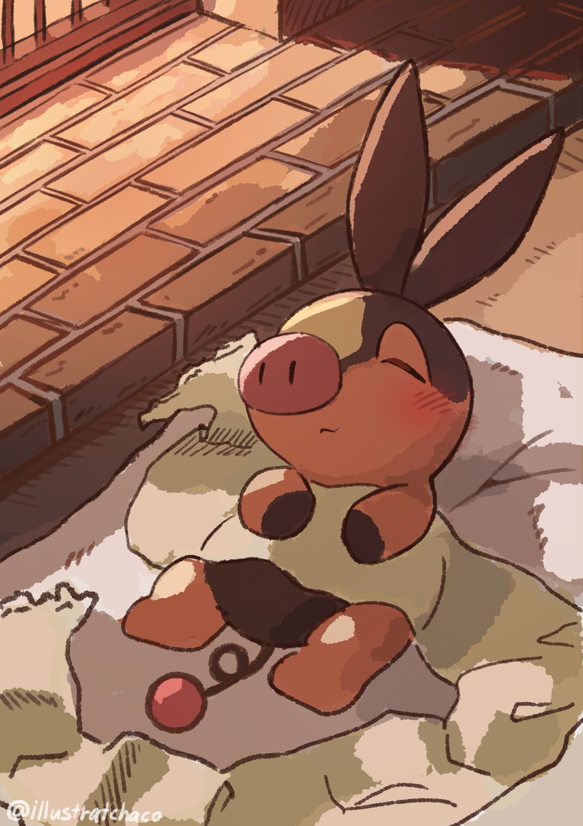 Post by チャコ on X: 🔥スヤスヤ…