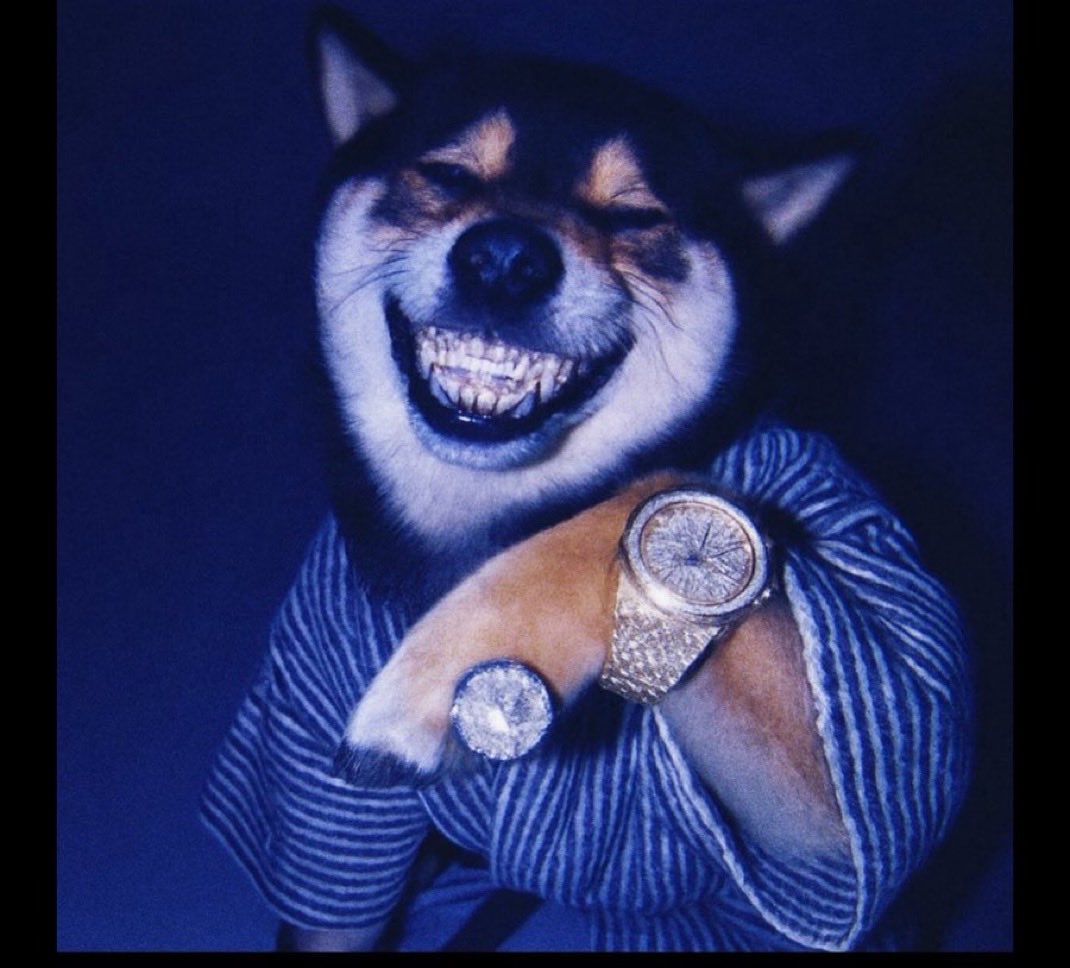 Strunkie7's tweet image. $Manyu looking forward to become #ASTER 👀💎