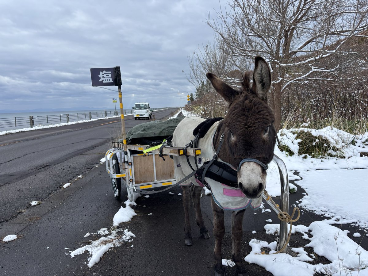 taromar_u's tweet image. 今日は軽く雪が積もる中での行軍でした。