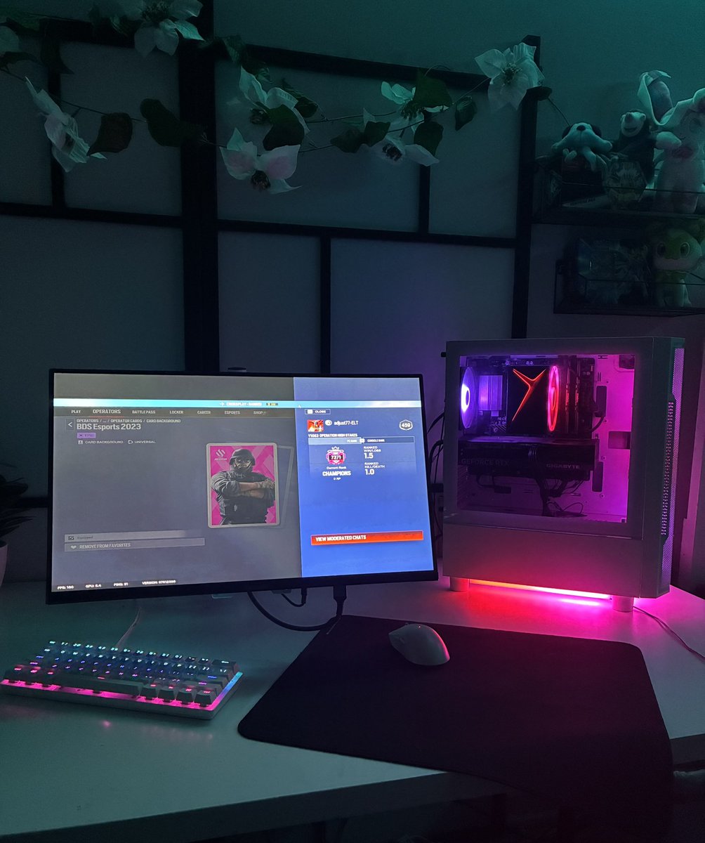 adjust77 tweet media