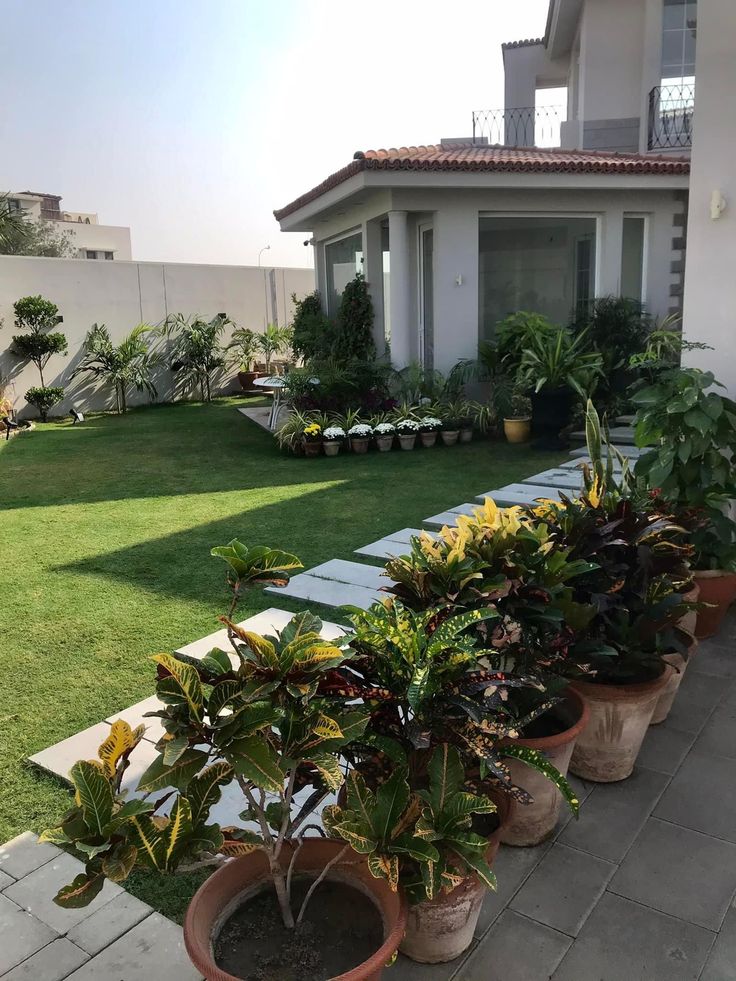 StahaProperty's tweet image. When you green your courtyard, you’re not just decorating — you’re healing your home.
Plants purify, beautify, and soften the noise of life.
Let nature be your daily therapy.

How green is your courtyard?
#LandscapingIdeas #StahaPropertyCare