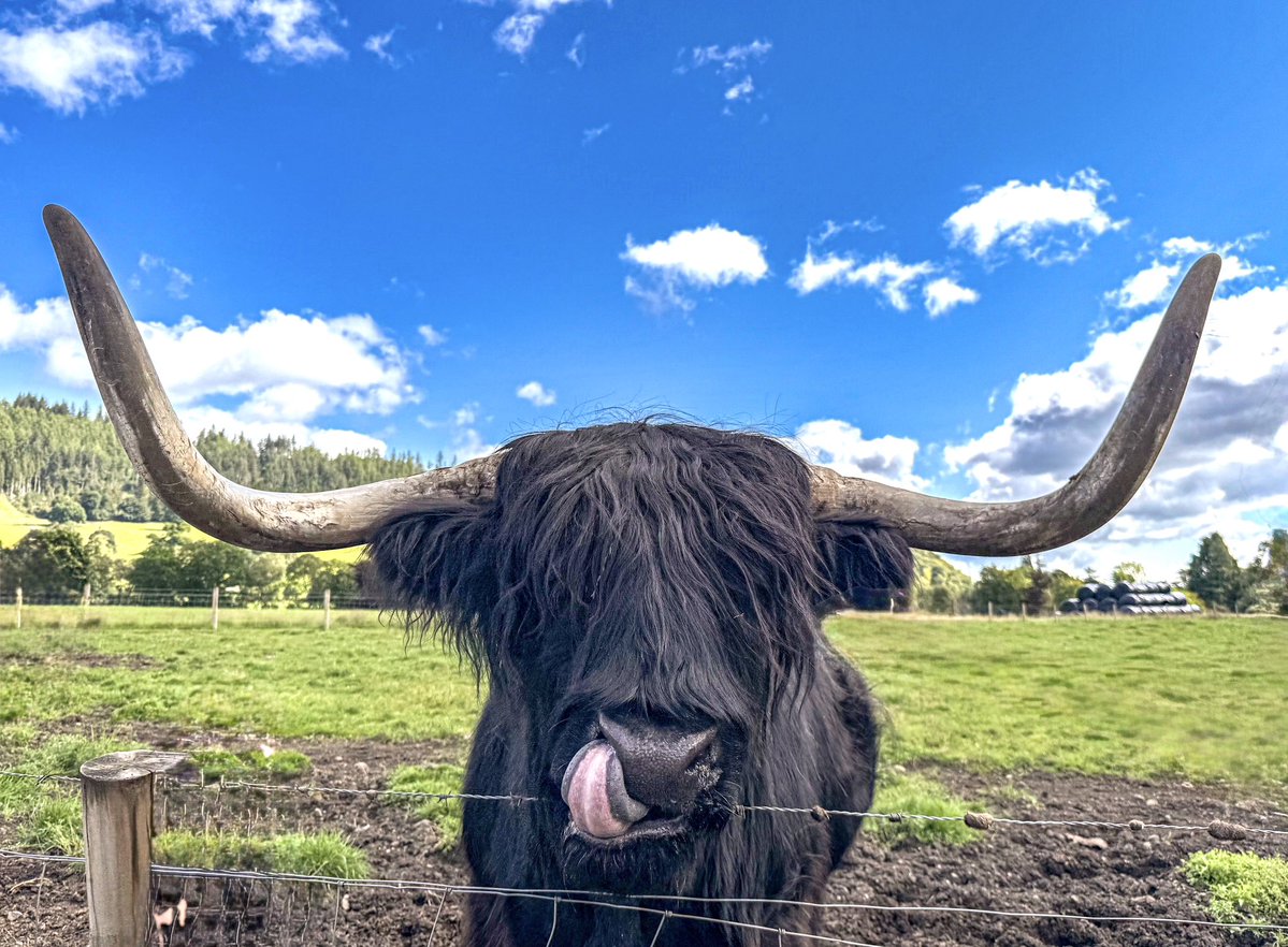 VipDigitalpics's tweet image. Good morning,

Here some photos from my amazing #photographer friends &amp;amp; me. 

Photography is alive baby. 

Artists 
@_michaelhartley  
@nomadicash77 
@VictoriSteklova 

#NFTs #NFTstrategy