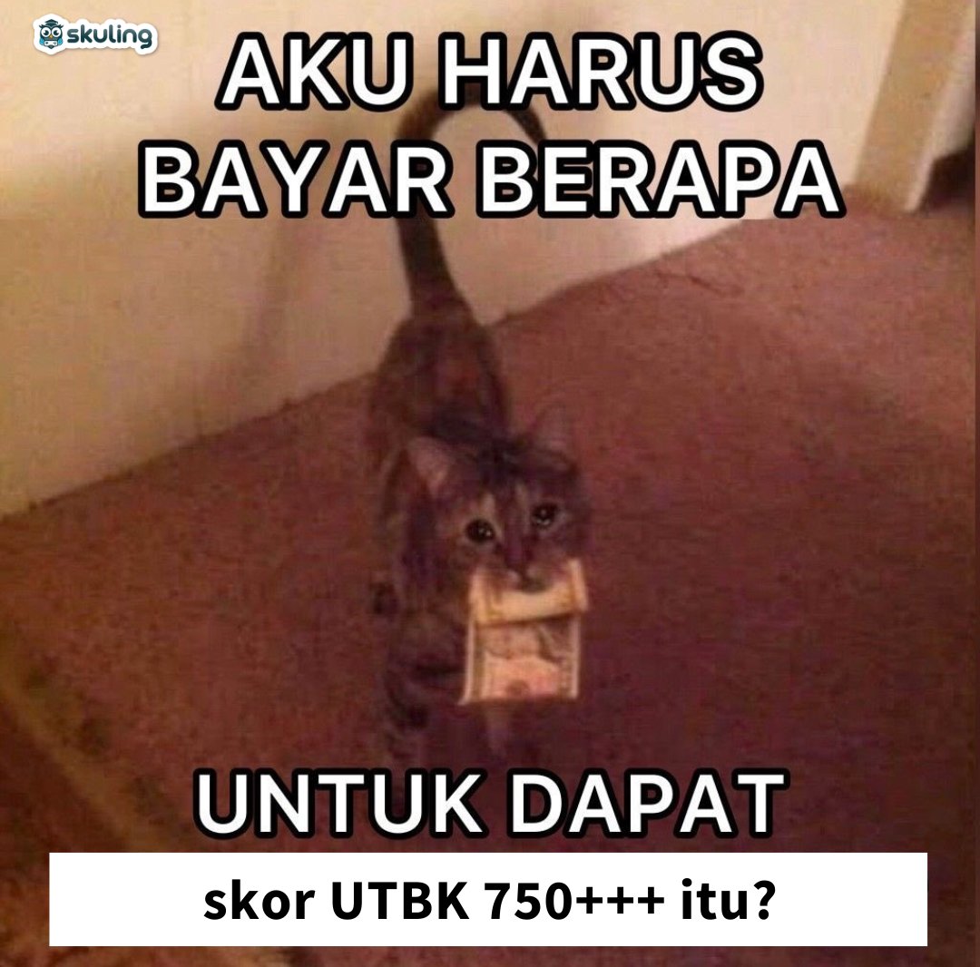 Skuling | Latsol & TO SNBT, TKA, Kedinasan tweet media