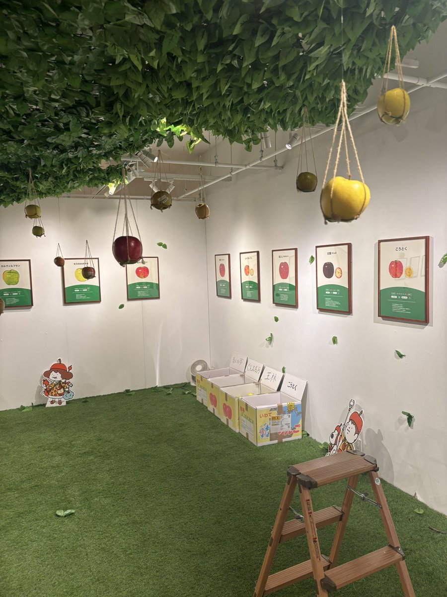 hatankyo1's tweet photo. りんご狩りかも知れない展に来ました〜

ゴールデンデリシャス、アニーエリザベス、高徳を購入

サンファームさんのリンゴが少しづつ買えるのありがたい🙏 https://t.co/mhCeV0TFnF