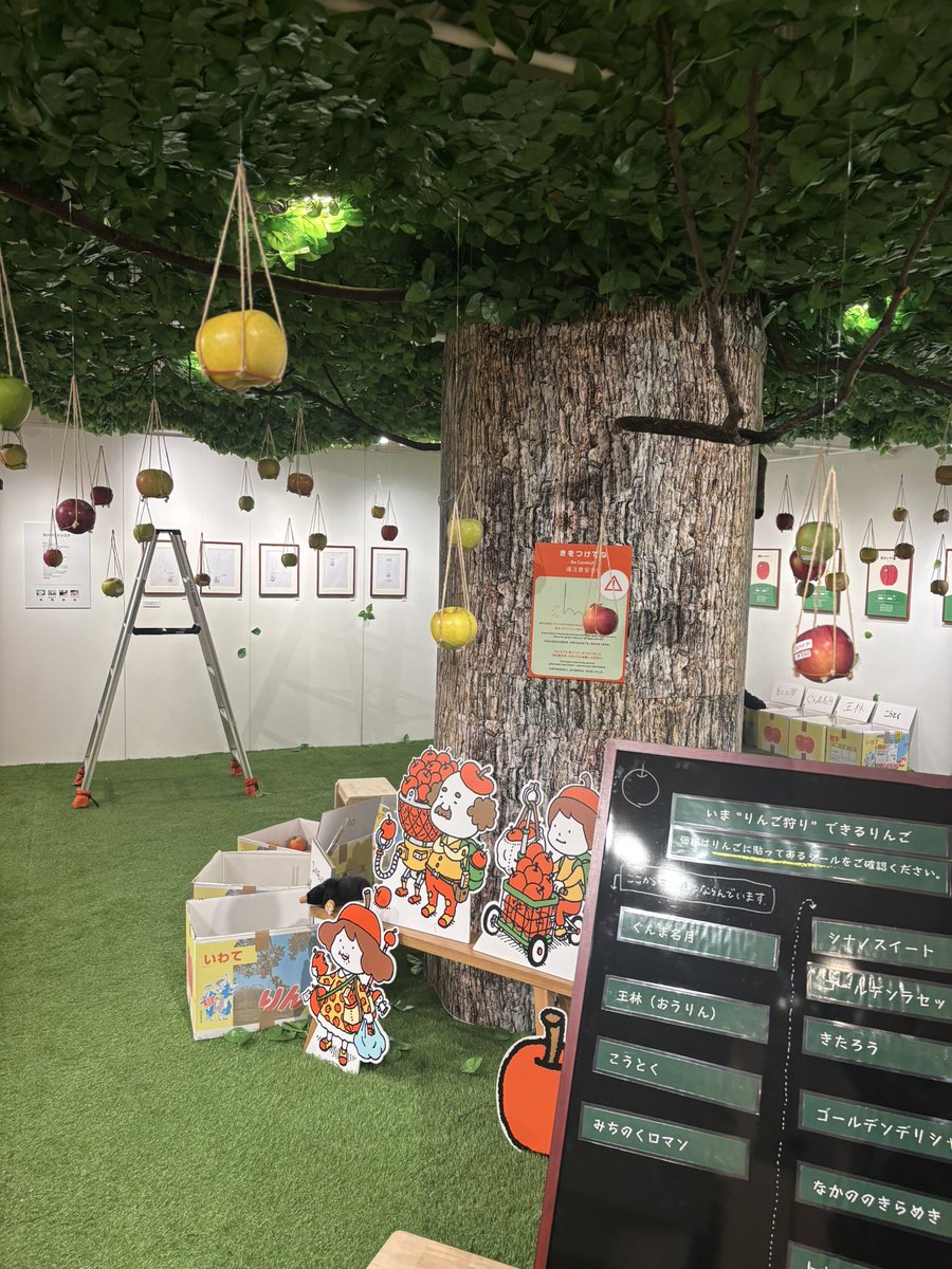 hatankyo1's tweet photo. りんご狩りかも知れない展に来ました〜

ゴールデンデリシャス、アニーエリザベス、高徳を購入

サンファームさんのリンゴが少しづつ買えるのありがたい🙏 https://t.co/mhCeV0TFnF