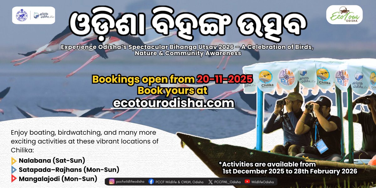 PCCFWL_Odisha's tweet photo. Booking starts on 20.11.2025 at 👉 https://t.co/KDkmOd8p7x
Don’t miss your chance!

Odisha is ready to welcome nature lovers, birdwatchers, photographers and eco tourism enthusiasts to Bihanga Utsav 2026.
#BihangaUtsav2026 #ChilikaLake #WildlifeOdisha #ExploreOdisha #EcoTour https://t.co/7KbfWuDVmz