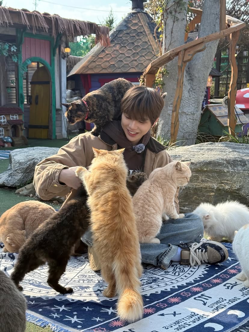 PEACH_BEARDK's tweet photo. 🥹🥹🥹🥹 https://t.co/dmj0uwwfHg