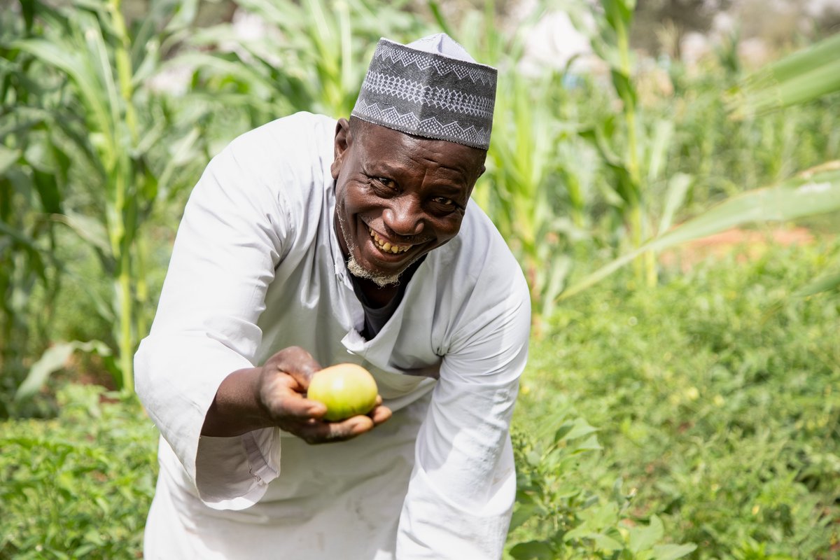 🌱Ibrahim, 57, a Nigerian refugee in Garin Kaka, Maradi, grows enough to feed his family and sells the surplus to meet other needs.

🙏 Huge thanks to #KOICA for supporting livelihoods that help refugees and host communities thrive.