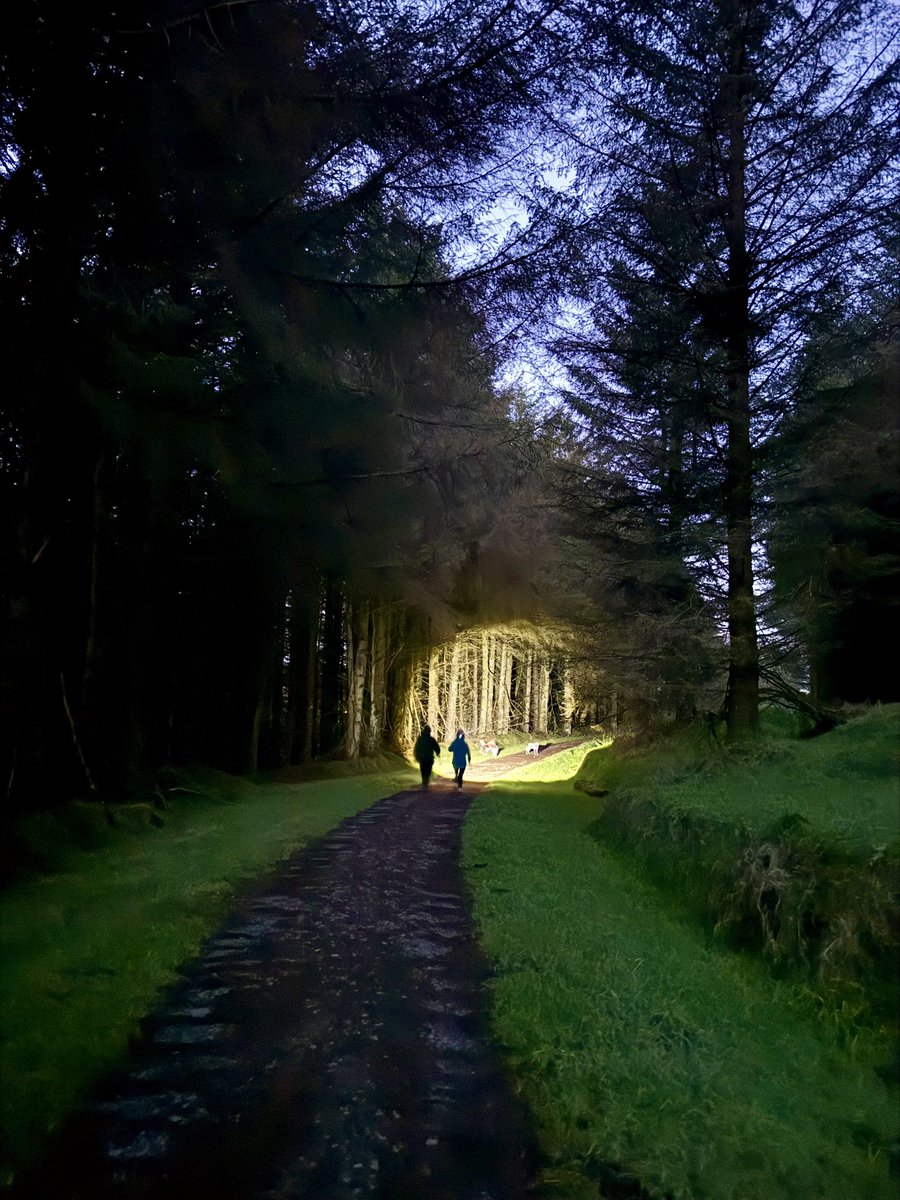 The early risers on the trail. #goodmorning